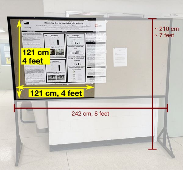 Poster board